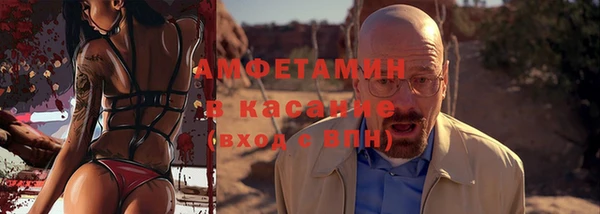 шишки Заводоуковск