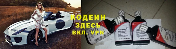 шишки Заводоуковск