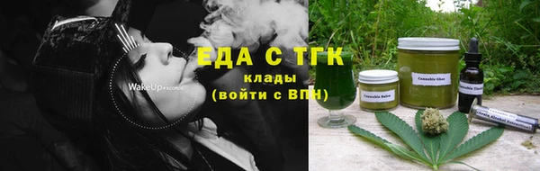 шишки Заводоуковск