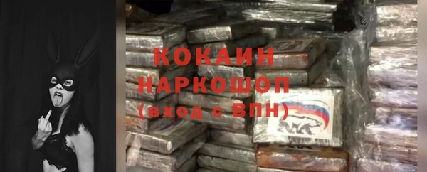 шишки Заводоуковск