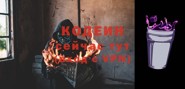 шишки Заводоуковск