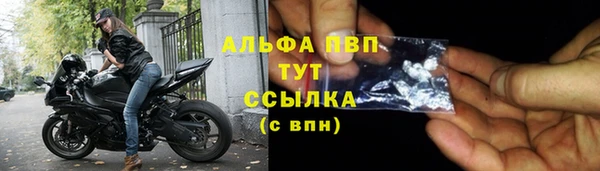 СК Шали