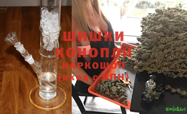 ГАЛЛЮЦИНОГЕННЫЕ ГРИБЫ Заволжск