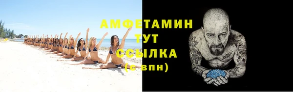 шишки Заводоуковск