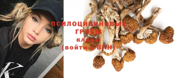 шишки Заводоуковск