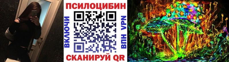 Псилоцибиновые грибы Psilocybe  Купить где  Мелеуз 